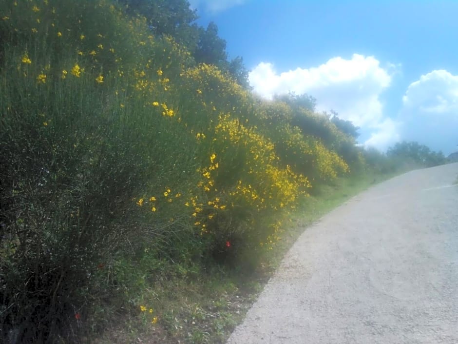 La staccionata bianca