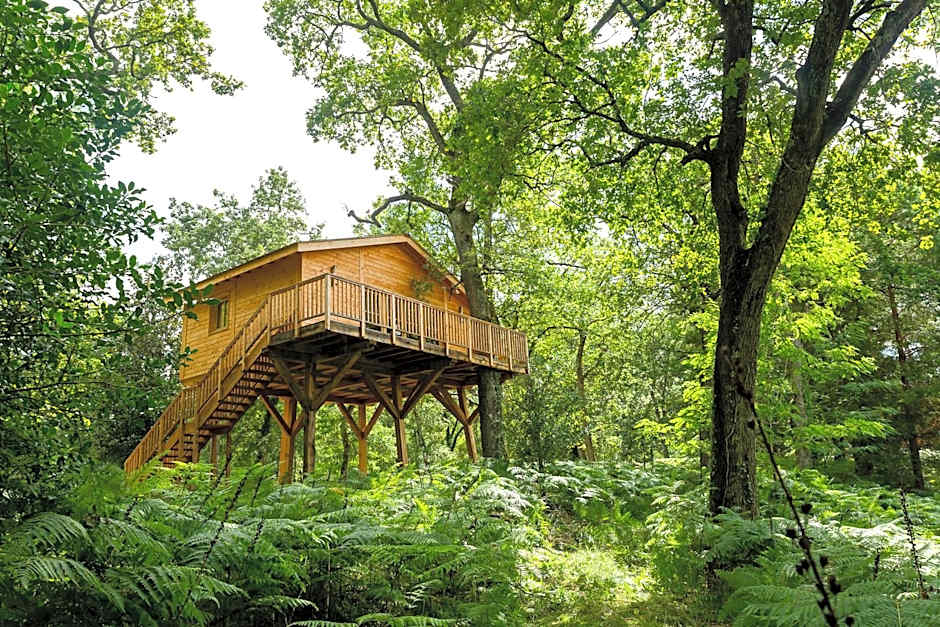 Château Léognan, Domaine viticole - proche Bordeaux