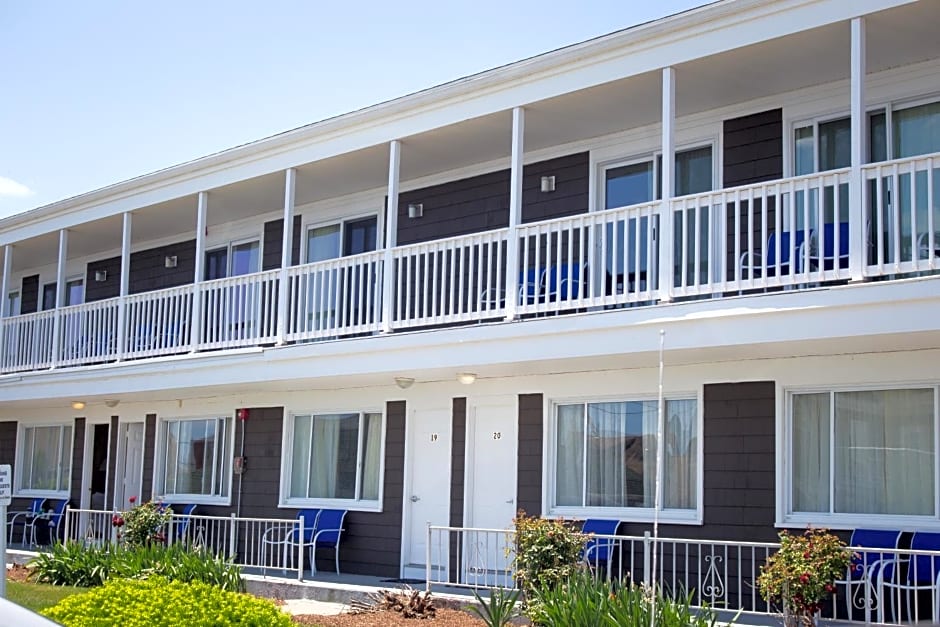 The Shore House