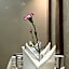 Hotel Ananya