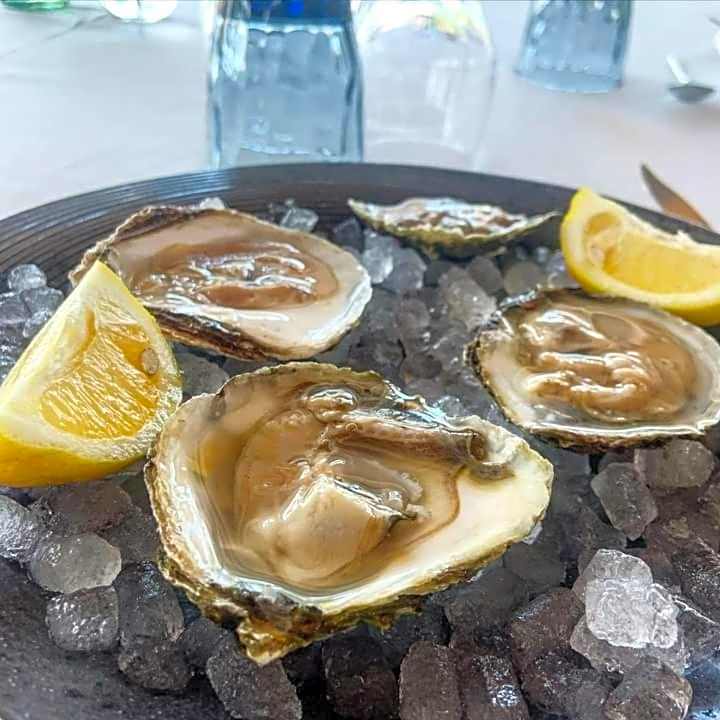 Hotel Tancat de Codorniu