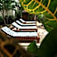 Aldea San Lam - Oasis Of Tulum