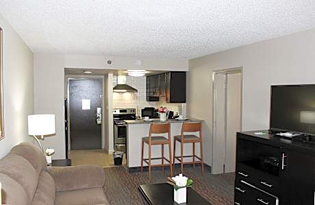1 Bedroom Suite Kitchen Sofa Bed