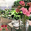 AVANTI Home