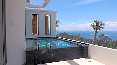 Penthouse Apartment