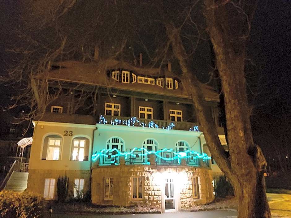 Villa Lessing