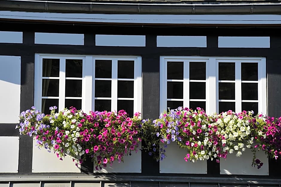 Landidyll Hotel Haus Hochstein