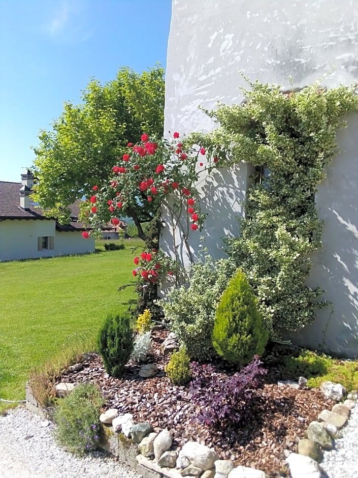 B&B La casa di Loretta