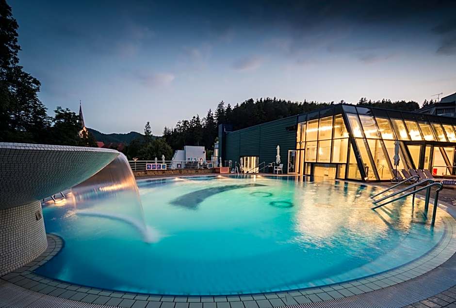 Hotel Švicarija - Terme Dobrna