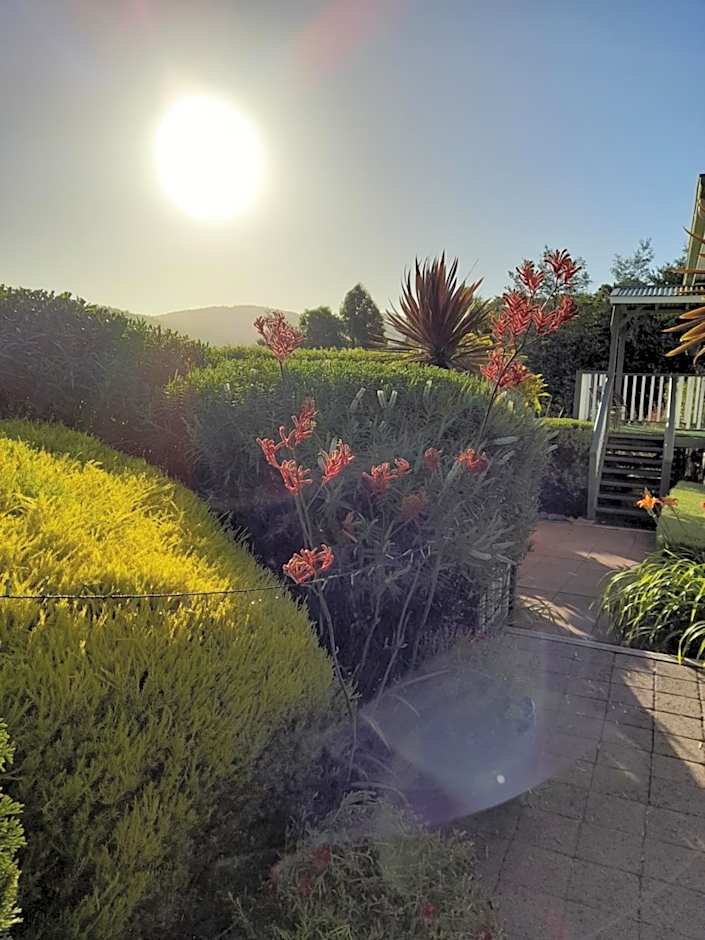 Hillside Bed and Breakfast