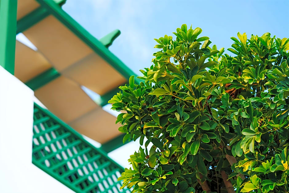 Aelia Apartments & Suites