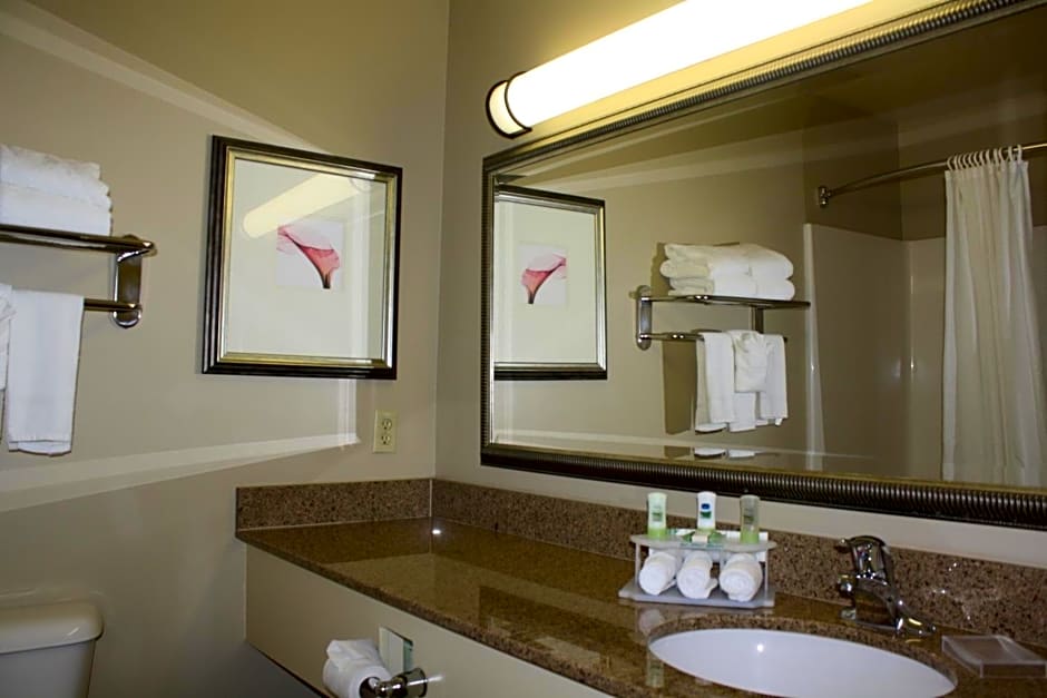 Country Inn & Suites by Radisson, Asheville - Outlet Mall