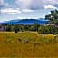 Destiny Cabin, 2 Bedrooms, Fireplace, Midtown, Sleeps 7