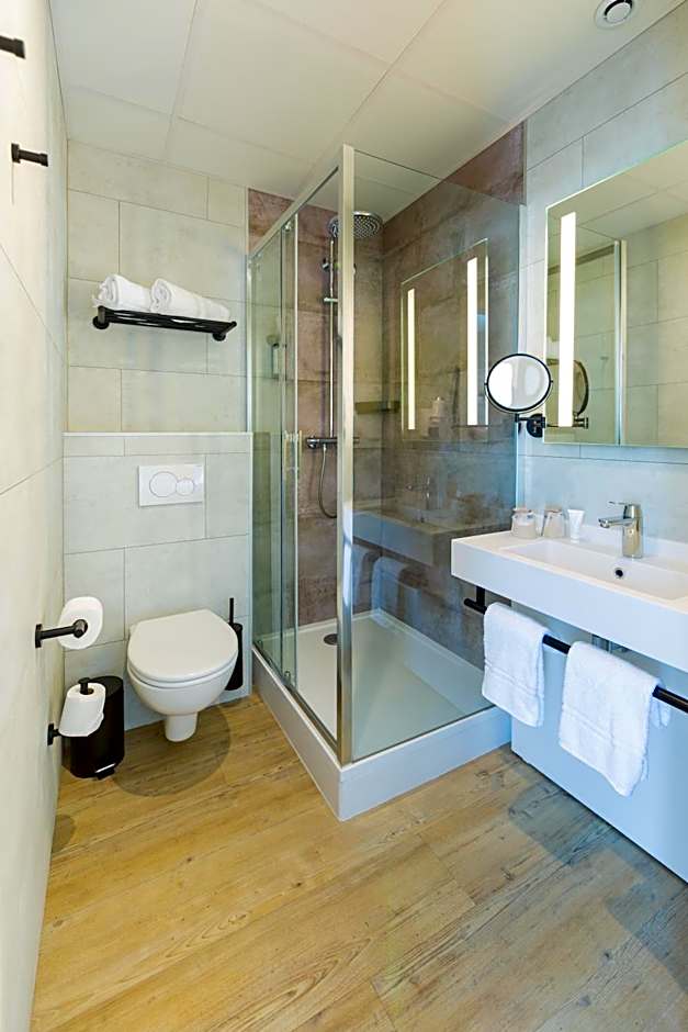 Best Western Mulhouse Salvator Centre