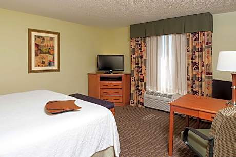 1 King Bed Nonsmoking