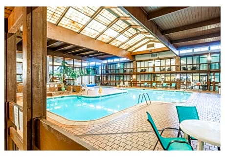 Queen Room with Pool View