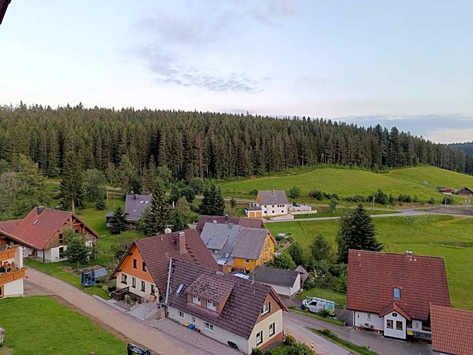 Auerhahn Bed and Breakfast - Black Forest - Waldhotel