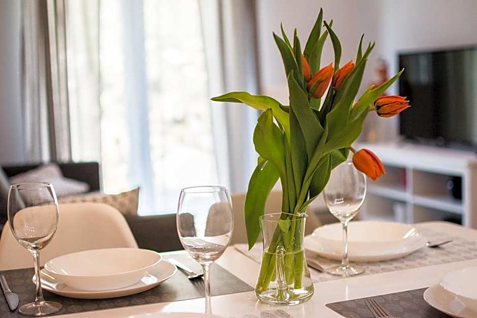 Apartamenty Izerskie - ul. Cicha 13H-I