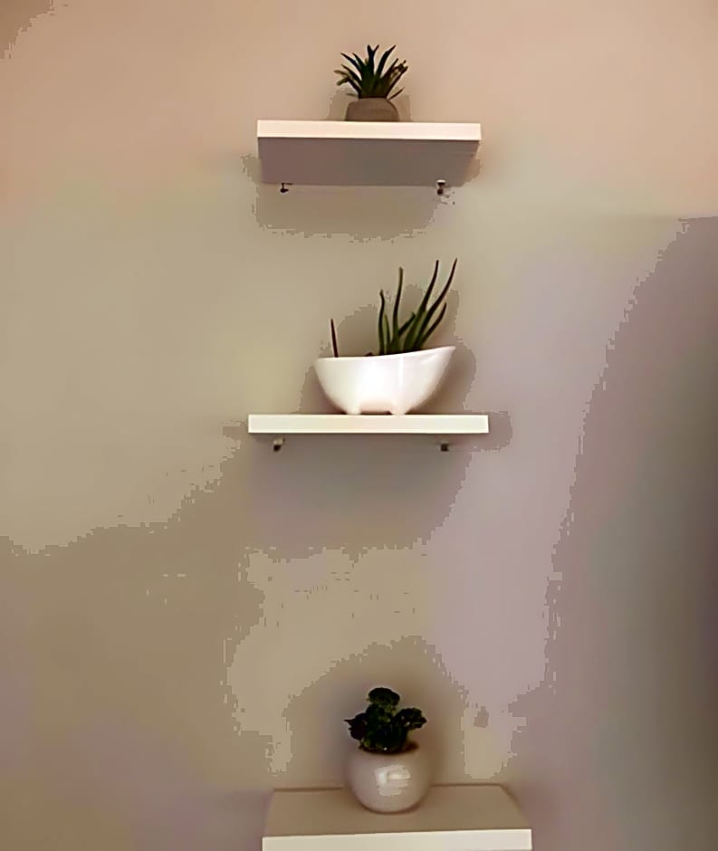 Brasília Studio - Tecnologia & Cia.