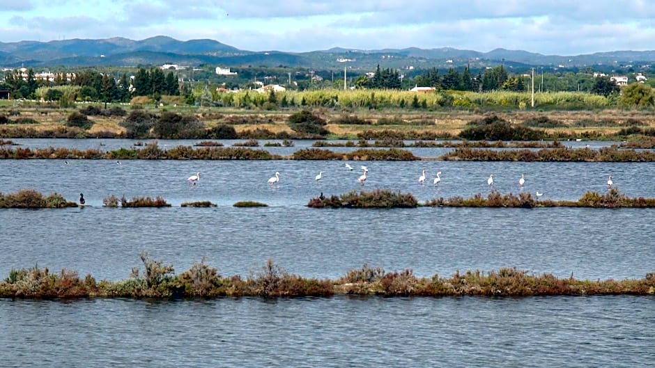 Villa Vista Mar Piscina Suites