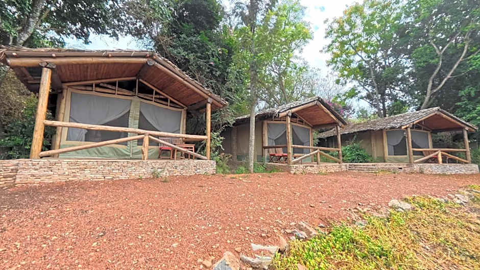 Fig Tree Camp - Maasai Mara