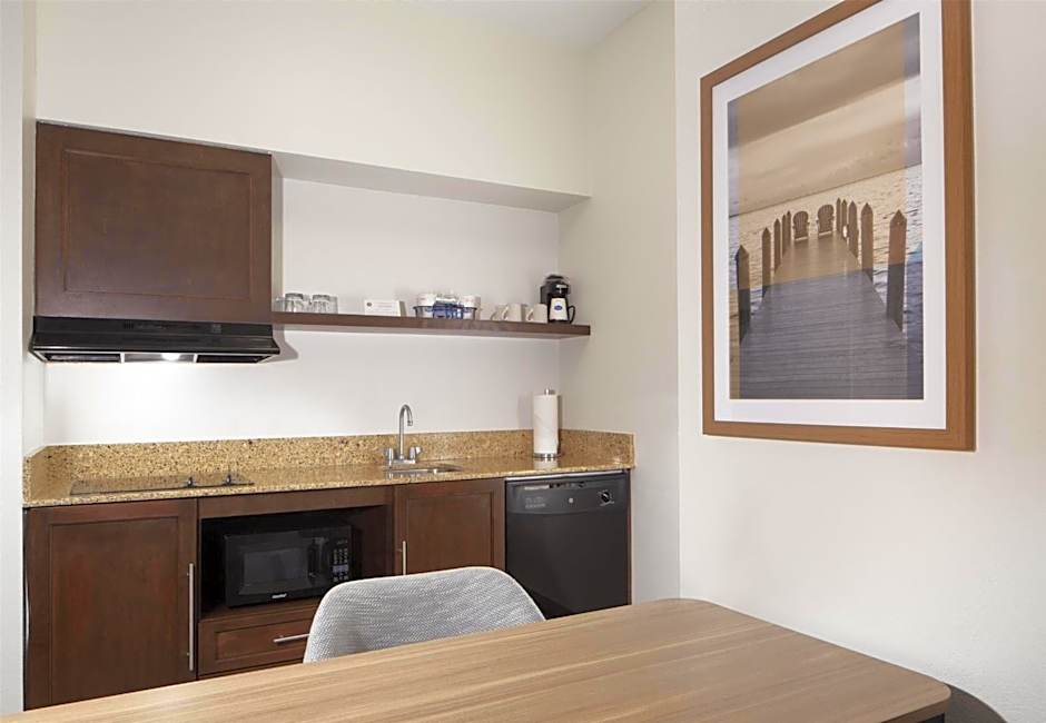 Hampton Inn By Hilton And Suites Tampa-North