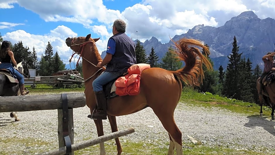 Rifugio Rinfreddo