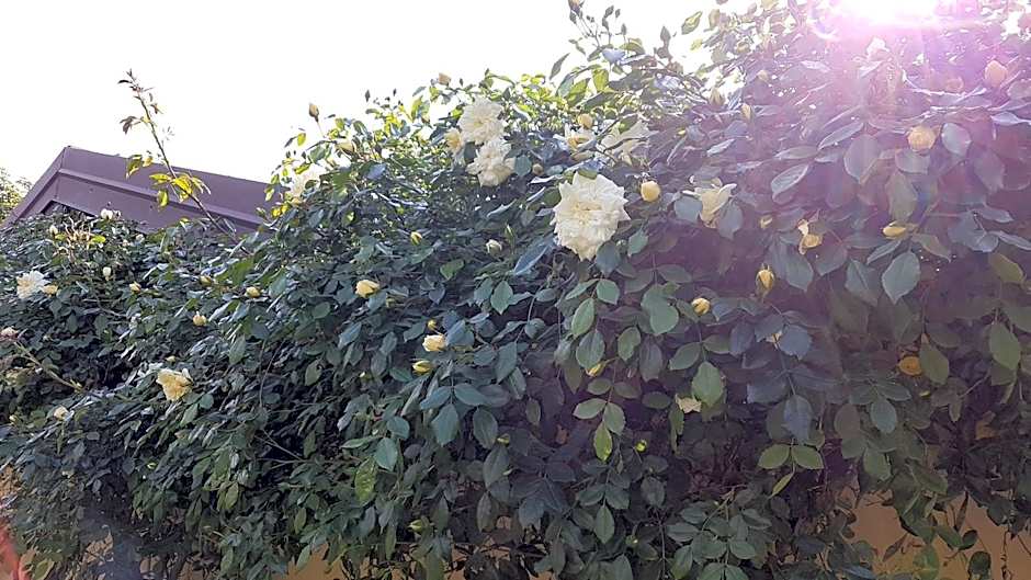 B&B La Cascina di Monia e Mario