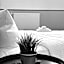 Hotel Alex Berlin