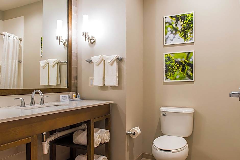 Comfort Inn & Suites Valdosta I-75