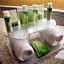 Holiday Inn Express Mountain View South Palo Alto By IHG
