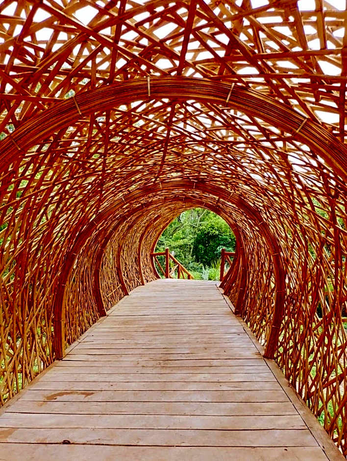 Destino Mio Mayan Jungle Retreat