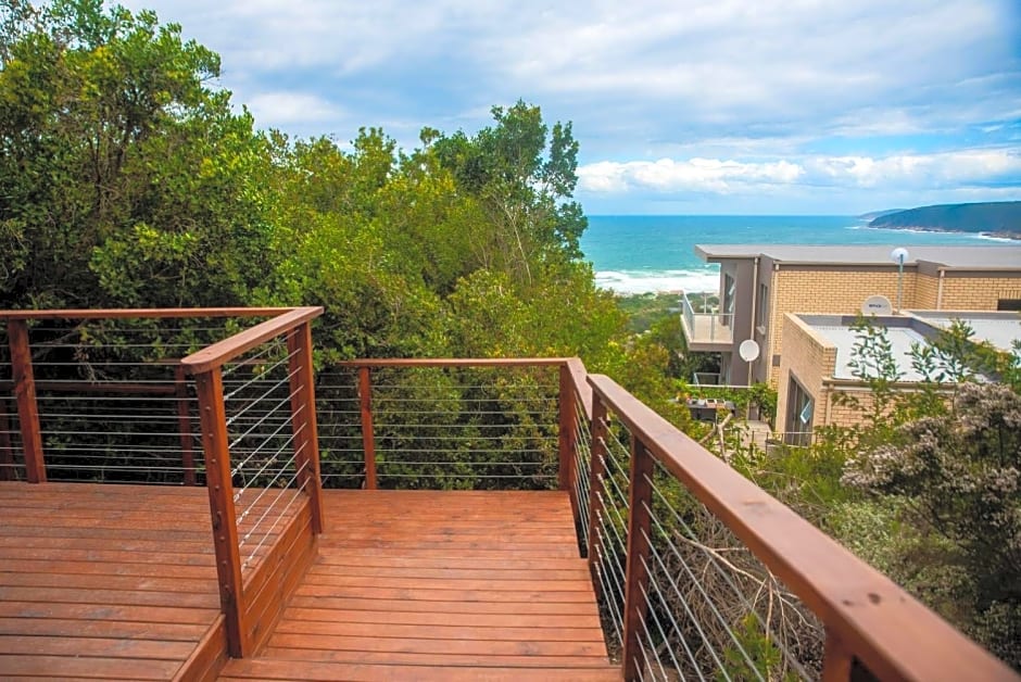 Forest Hill Wilderness