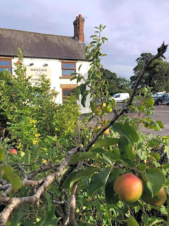 The Shoulder at Hardstoft