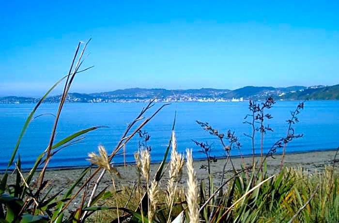 ASURE 83 By The Sea Motor Lodge