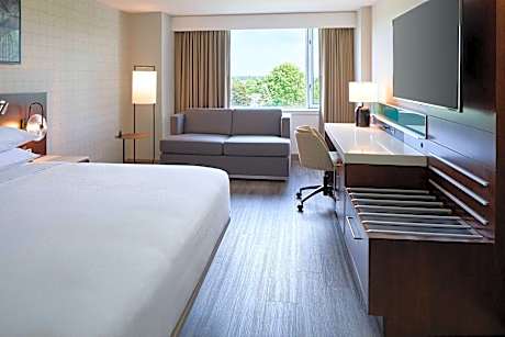 Guest room, 1 King, Sofa bed, River view