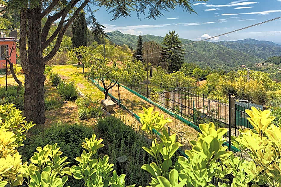 Oasi Verde