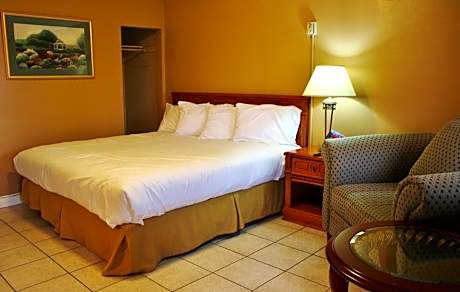 King Room - Non-Smoking