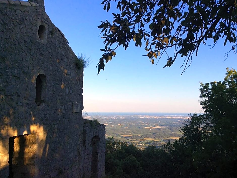 Le Castellas du Pic St Loup