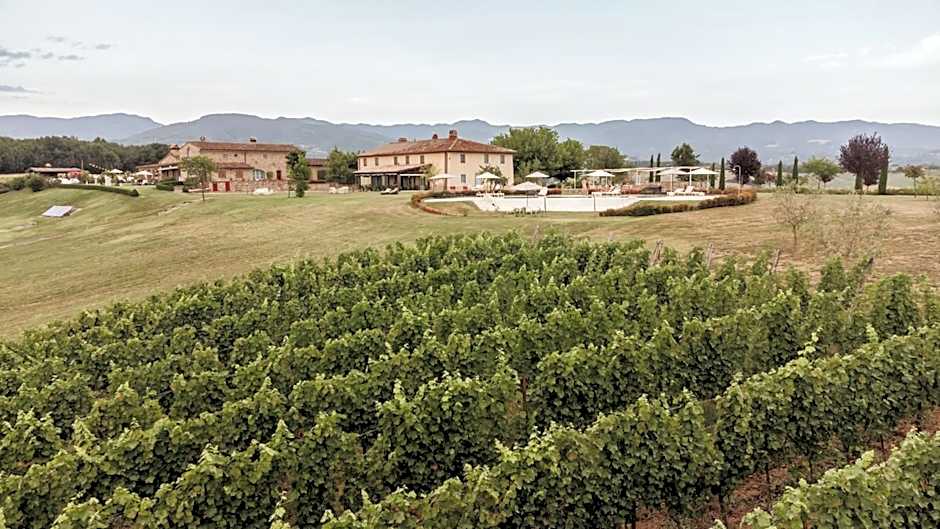 Tenuta Le Tre Virtù