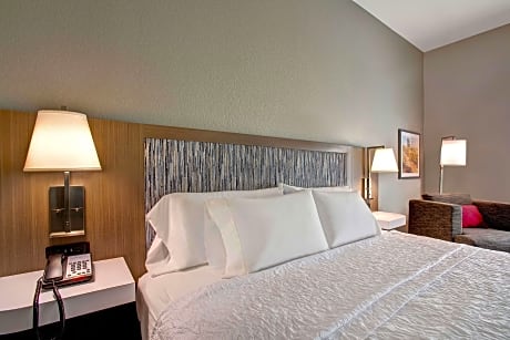 King Room W/Fridge Microwave