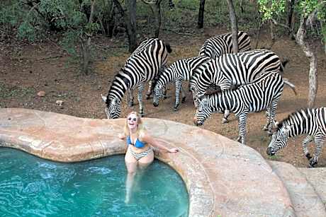 Kruger Park Hostel