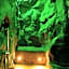 Magenta Pantheon Navona