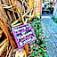 Bowral Road Bed and Breakfast