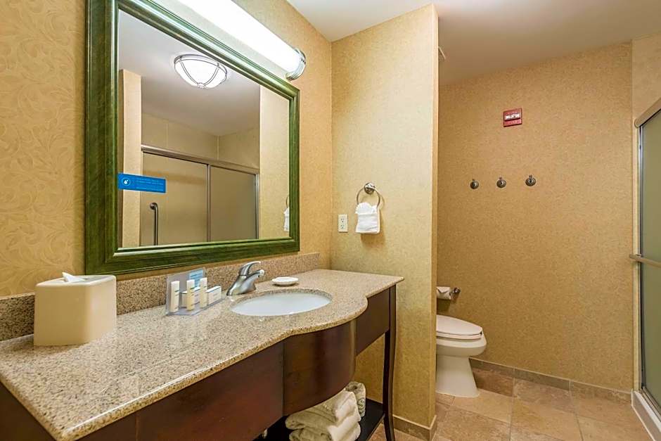 Hampton Inn By Hilton & Suites Orlando-South Lake Buena Vista