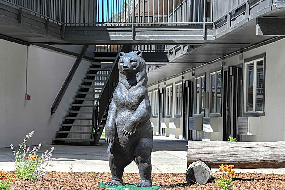 The Jackson SouthTown