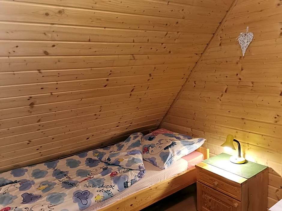 Domki Borowiackie nad brzegiem jeziora