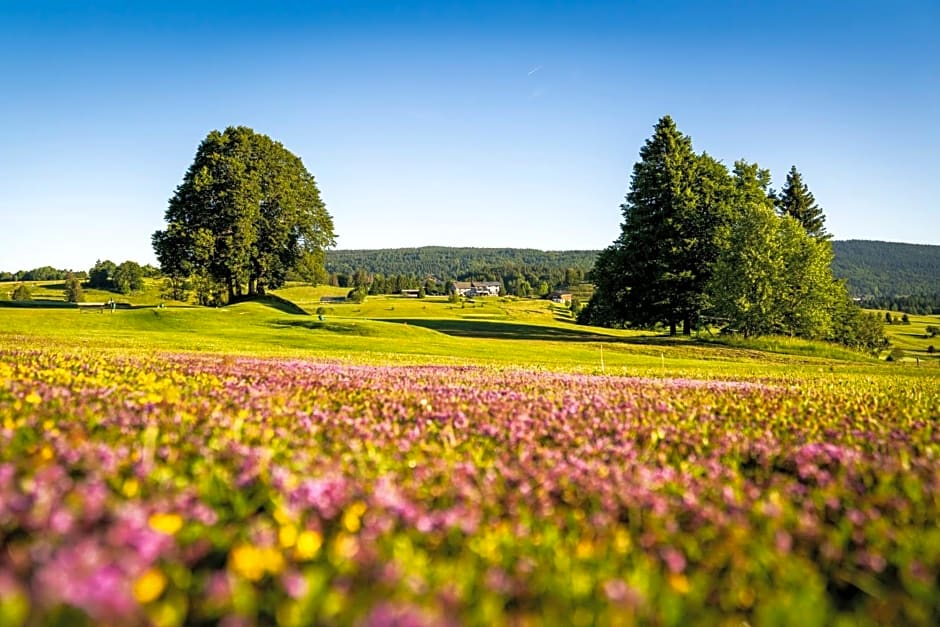 Domaine du Mont-Saint-Jean