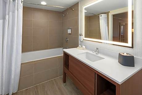 One-Bedroom King Suite