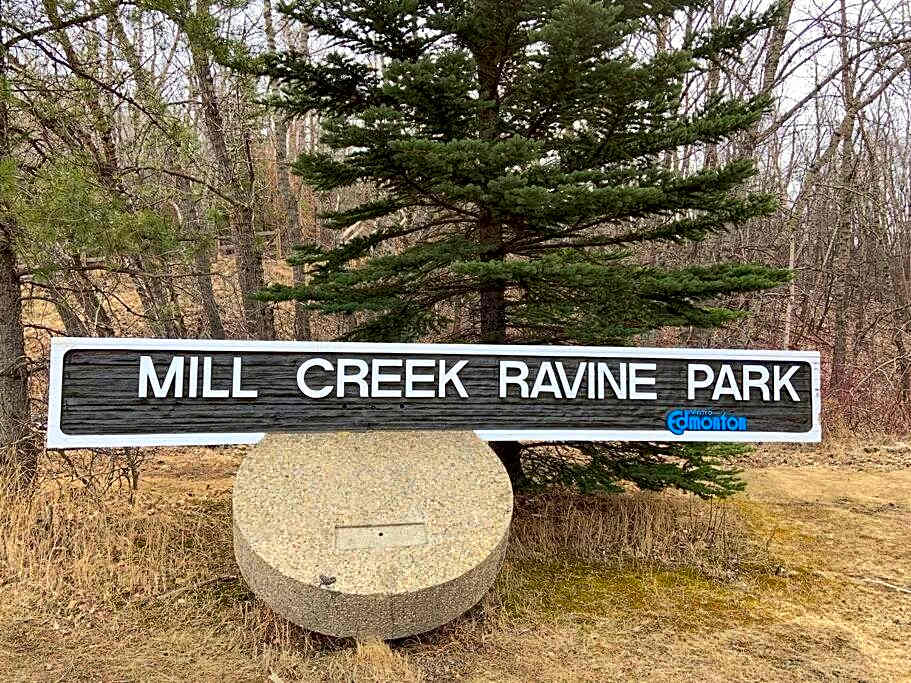 Executive Bsmt Suite, King Bed, 5 min to DT & Whyte Ave, Sleeps 6!